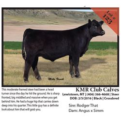 2016 NILE Club Calf Sale