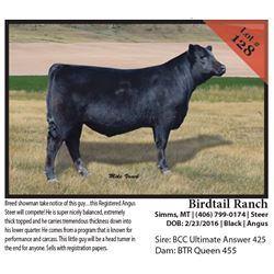 2016 NILE Club Calf Sale