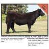 Image 1 : 2016 NILE Club Calf Sale