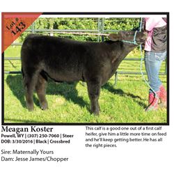 2016 NILE Club Calf Sale