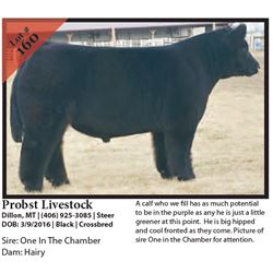 2016 NILE Club Calf Sale