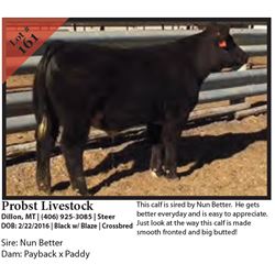 2016 NILE Club Calf Sale