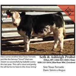 2016 NILE Club Calf Sale