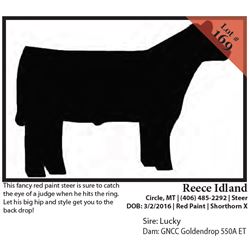 2016 NILE Club Calf Sale