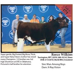 2016 NILE Club Calf Sale