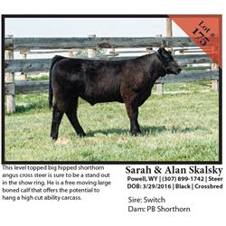 2016 NILE Club Calf Sale
