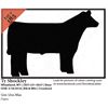 Image 1 : 2016 NILE Club Calf Sale
