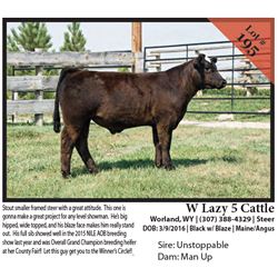 2016 NILE Club Calf Sale