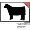 Image 1 : 2016 NILE Club Calf Sale