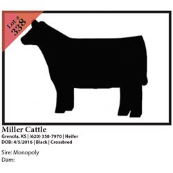 2016 NILE Club Calf Sale