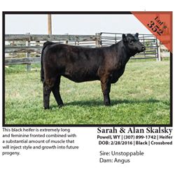 2016 NILE Club Calf Sale