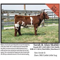 2016 NILE Club Calf Sale