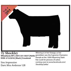 2016 NILE Club Calf Sale