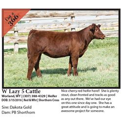 2016 NILE Club Calf Sale