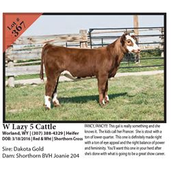 2016 NILE Club Calf Sale