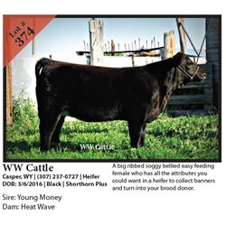 2016 NILE Club Calf Sale