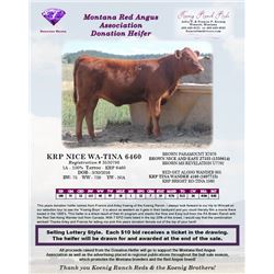 KRP NICE WA-TINA 6460