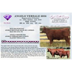 ANGELO VERDALE 6056