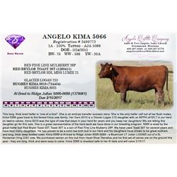 ANGELO KIMA 5066