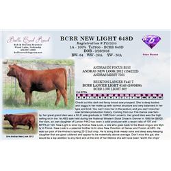 BCRR NEW LIGHT 648D
