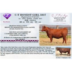 C-T HONEST GIRL 5037