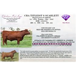 CRA TITLEIST`S SCARLETT