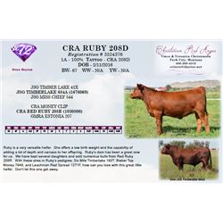 CRA RUBY 208D