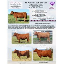 FEDDES SLEEK 806-C10