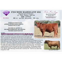 FISCHER MAHOGANY 656