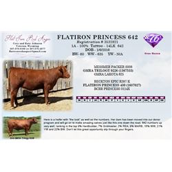 FLATIRON PRINCESS 642