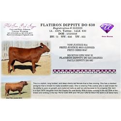 FLATIRON DIPPITY DO 630