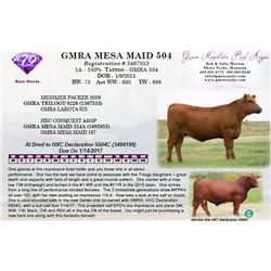 GMRA MESA MAID 504