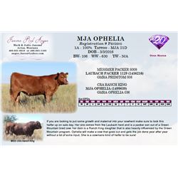 MJA OPHELIA
