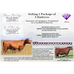 Selling 1 Package of 3 Embryos
