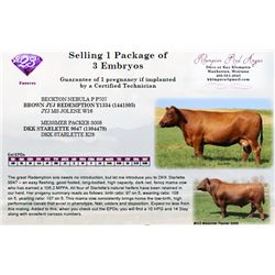 Selling 1 Package of 3 Embryos