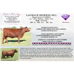 LAUBACH HEIRESS 5011