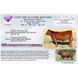 LOST CRK GLACIER MISS 6062