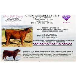 OWNG ANNABELLE 1513