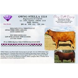 OWNG STELLA 1518