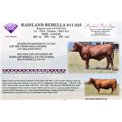 RAISLAND REBELLA 611-225