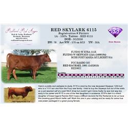 RED SKYLARK 6115