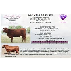 SGJ MISS LASS 693