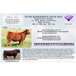 SUTH REDEEMING OSCE 6054