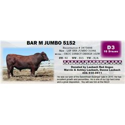 BAR M JUMBO 5152