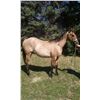 Image 1 : MG Cinnamon San Chex