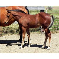 His Smarts Come Easy