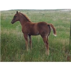 Guys Chip Inthe Game