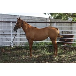 Lucky Red Chic Again