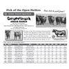 Image 1 : Pick of the Open Heifers