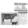 Image 1 : BTR MINA PAYCHECK 6171